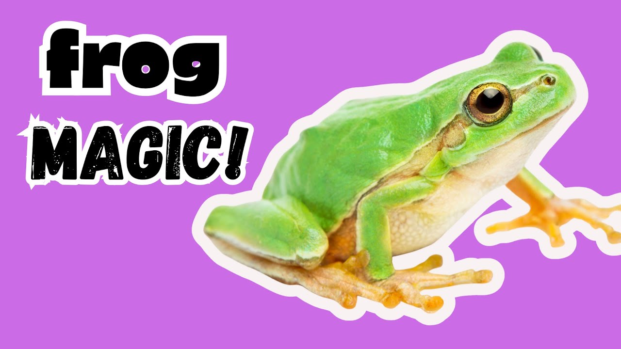 Ribbiting Fun Facts about Frogs for Kids! - YouTube