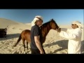 Martin Clunes: Horsepower 1 (4/5)