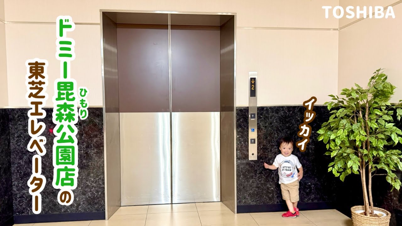 【491日目】ドミー毘森公園店のエレベーター（東芝製）