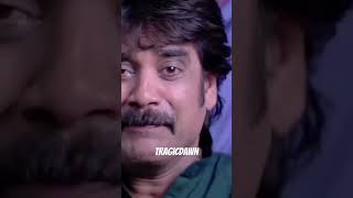 Nagarjun Trisha Comedy Scenes
