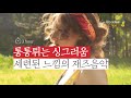 세련되고 매력적인, 취.향.저.격 재즈 연주