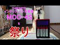 柴犬小春 後半THRUNITE祭り!! THRUNITE /インテリジェント充電器MCC- 4S