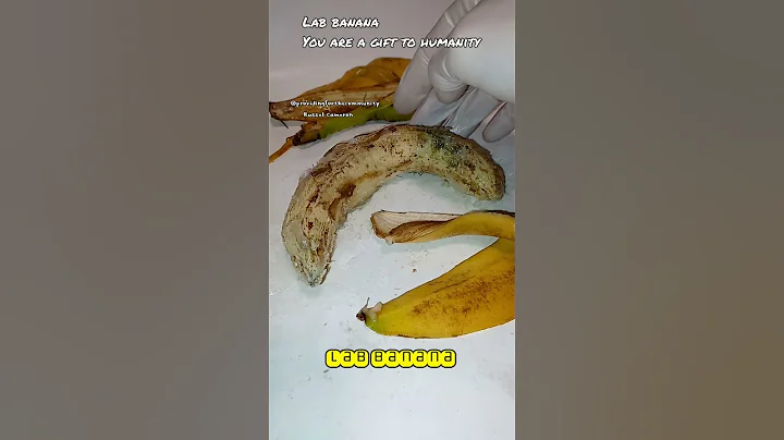 lab banana is a gift to humanity.