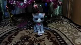 🐈Обзор на интерактивную игрушку 🐈Обзор на интерактивную игрушку