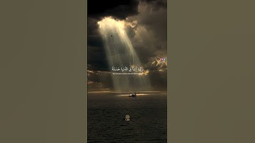 تلاوة هادئة من سورة البقرة للشيخ علي جابر 🤍✨
