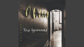 Video thumbnail of "The Iguanas - Hey, Sweet Darling"