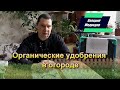 Органические удобрения в огороде