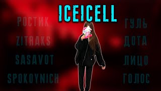 iceicell - SASAVOT, SPOKOYNICH, СКВАД КИШКИ, ZITRAKS / KISHKI vision