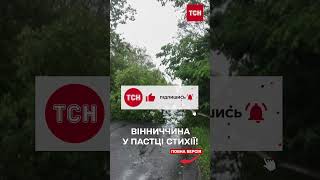 Залило усе! Негода на Вінниччині знищила урожай і зупинила рух на дорогах!