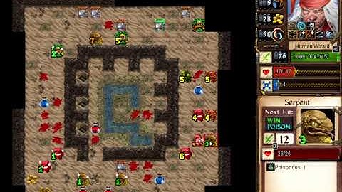 Desktop Dungeons: Vicious Gaan-Telet Purist, Human Wizard