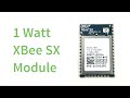 A look at the Digi XBee SX