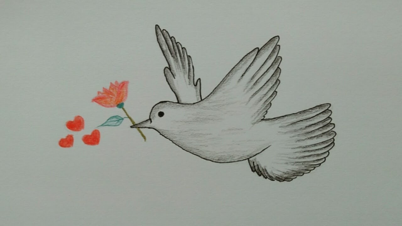 7500 Koleksi Gambar Burung Gampang Terbaru