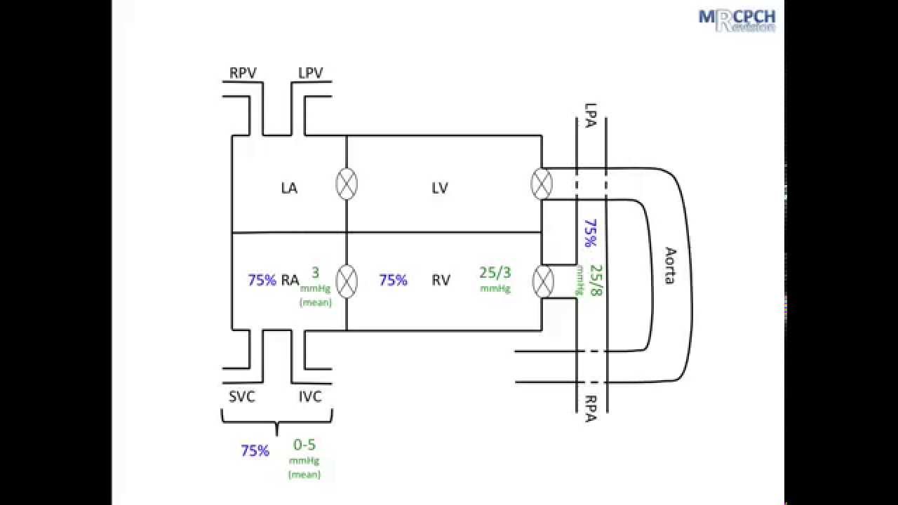 Interpreting Cardiac Catheterisation Data