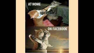 FUNNY MEMES TO SEND YOUR CRUSH