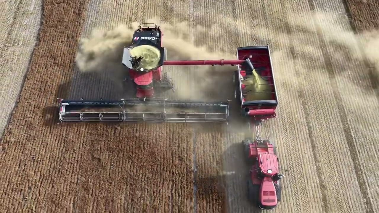 Case AF 11 & Macdon FD261 