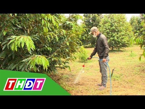 Video VFC Cánh đồng Hội nhập số 49 - 01/01/2022 | Giải pháp... - youtube