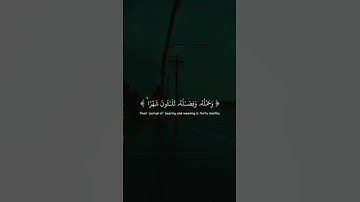 قل يا الله ❤️ تلاوة تريح القلب والروح |ووصينا الإنسان بوالديه إحسانا |إسلام صبحي #تلاوة #خاشعة#قرآن