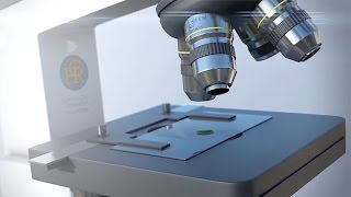 Personalized, World-class Infertility Care at CHR