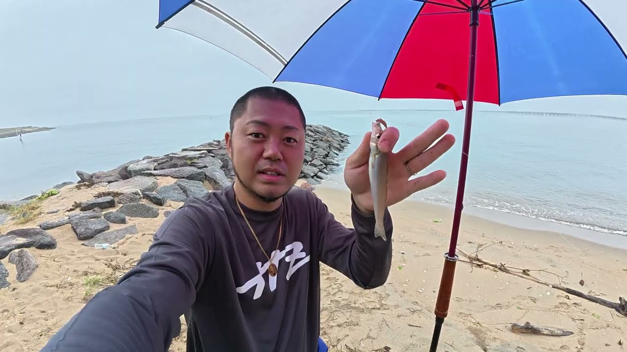 三河湾の奥湾「えっ⁉こんなとこで？」ってとこでキスの投げ釣り！しかも魚種豊富！！