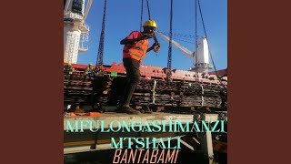 Download lagu Siyovota