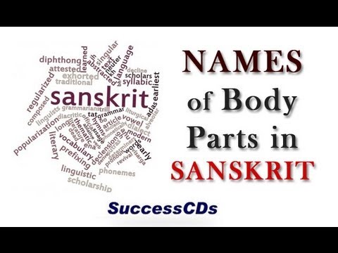 Hindi Body Parts Chart