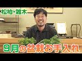 【9月版】松柏・雑木のお手入れ
