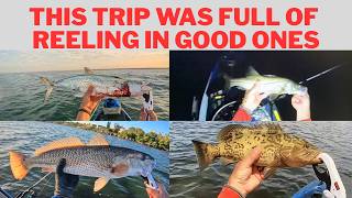 Live shrimp and paddle tail did a fantastic job😉