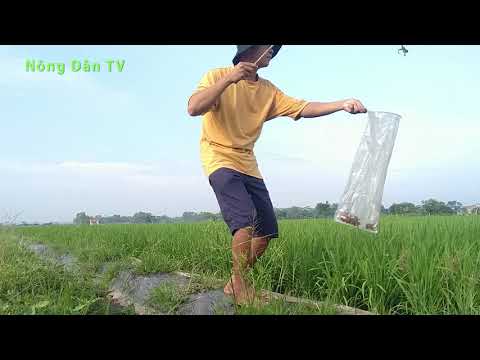 Video CÂU NHÁI . MỘT VÉ VỀ TUỔI THƠ - youtube
