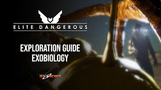 ELITE DANGEROUS - Exploration Guide - Part Four (Exobiology)