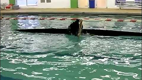 Reverse Sweep Roll with Paddle behind Neck