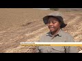Women in Agriculture: Nonhlanhla Gumede