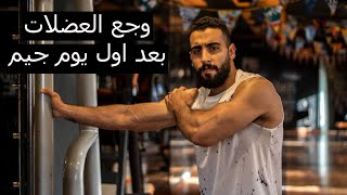 الوجع اللي بيحصلك في العضلات بعد اول يوم في الجيم I ابدأ ازاي I the pain after first day in the gym