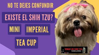 THERE IS NO MINI, IMPERIAL OR TEA CUP SHIH TZU?
