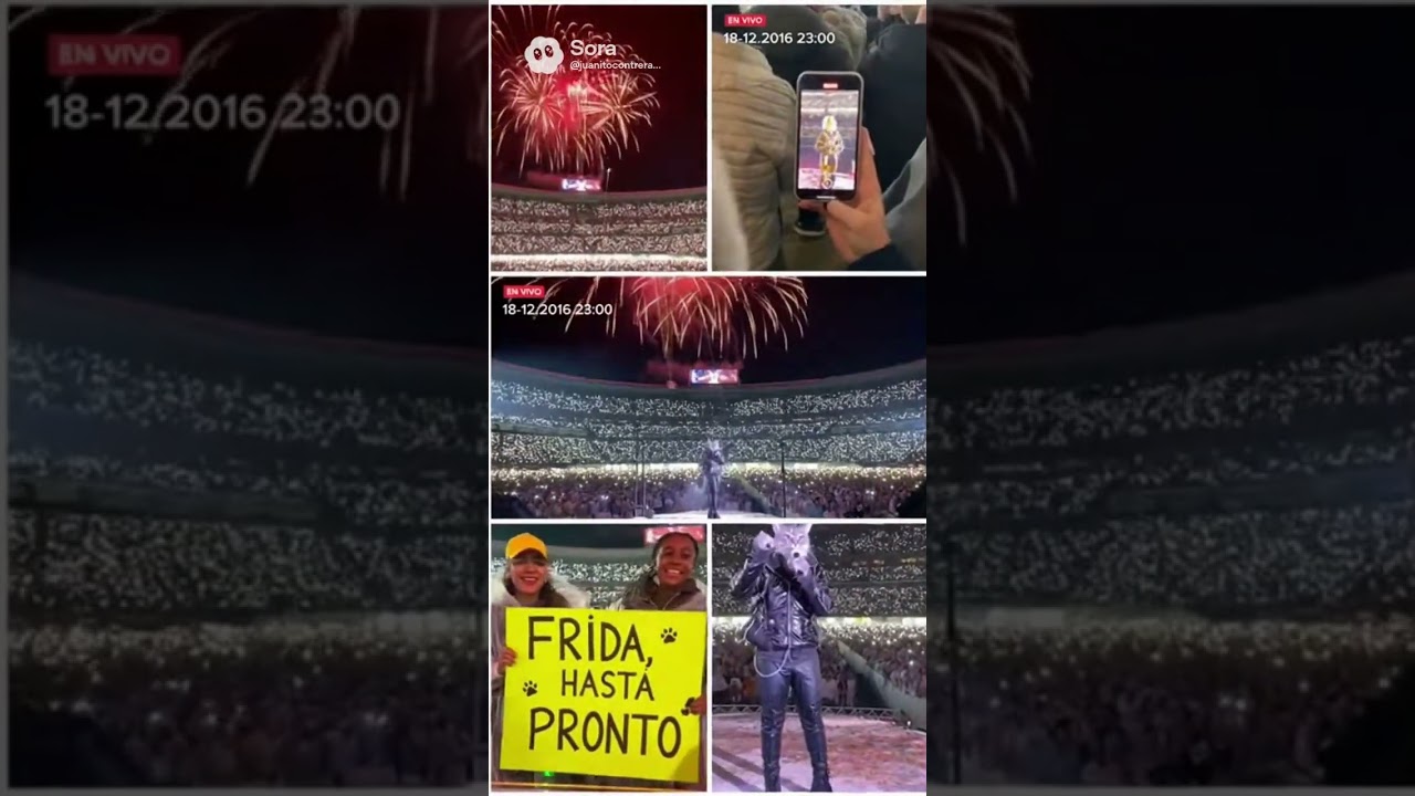 Gato frida : Final del show desde el MasterCard Arena el 18/12/2016 a las 23 hs