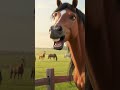 A short story of a horse #shortstory #aistory #horsestory
