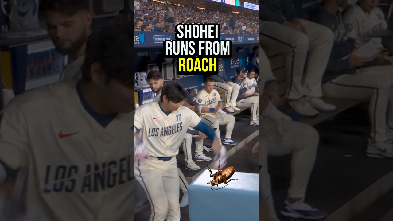 Shohei Ohtani runs from a roach in the Dodgers Dugout 🤣 #shoheiohtani #mlb