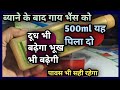 ब्याने के बाद गाय भैंस को 500ml यह पिला दो||दूध भी बढ़ेगा पावस भी सही रहेगा||Post Calving Solution