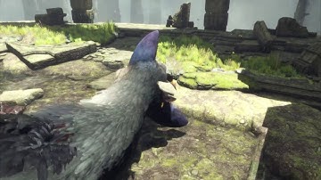 The Last Guardian - Part 4 Second Ruins: Trico Fights Armored Knights, Remove Spears Tutorial PS4Pro