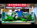 豪宅等級20萬元ADA六尺魚缸開箱  solar RGB LED吊燈 水草造景全紀錄 日本原裝進口精品水族