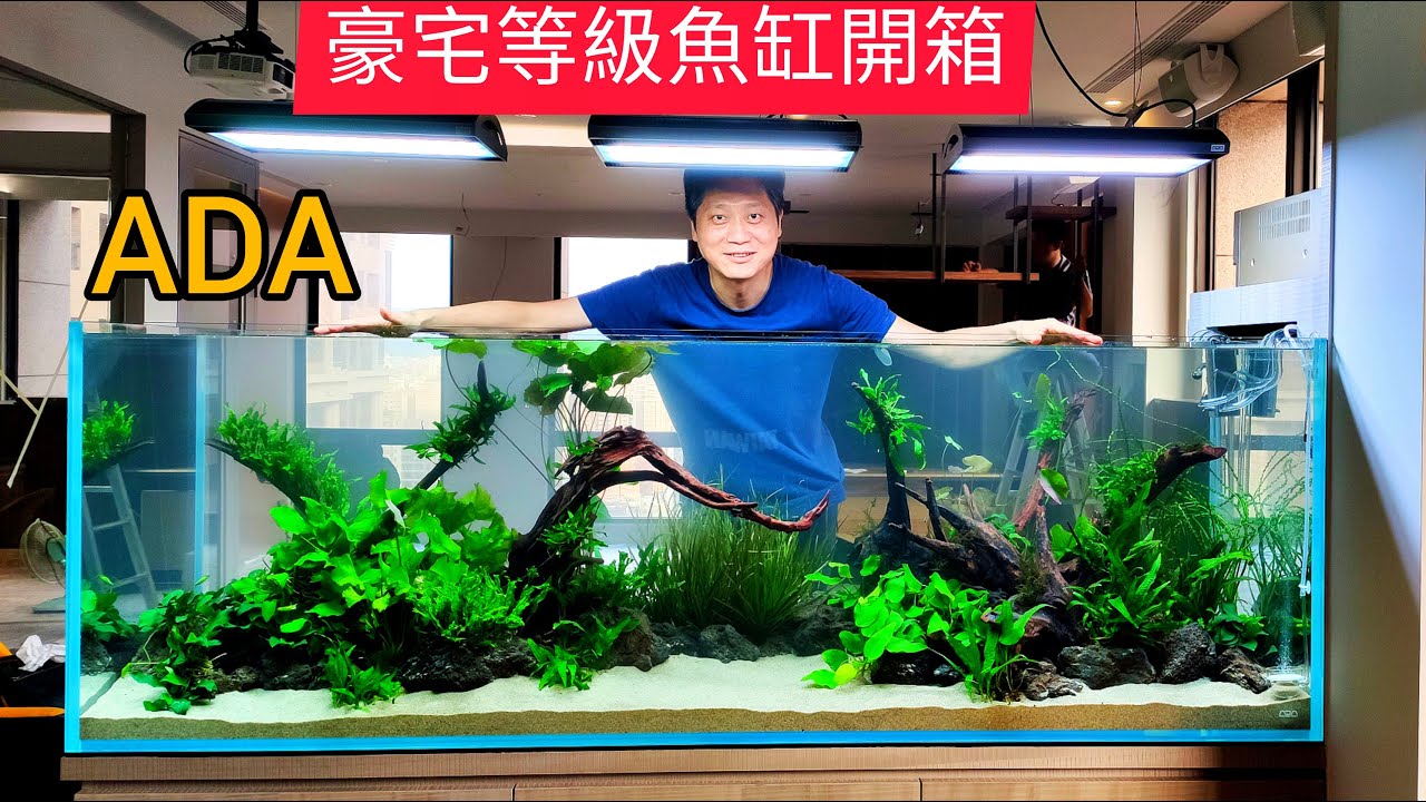 豪宅等級萬元ada六尺魚缸開箱solar Rgb Led吊燈水草造景全紀錄日本原裝進口精品水族 Youtube