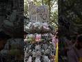 Sarojini nagar market vlog 😍😱 | part-2 | #minivlog #shorts