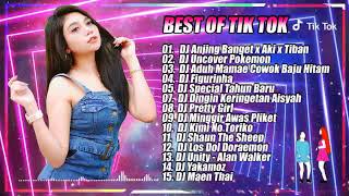 Dj TikTok Terbaru 2021 Dj Anjing Banget x Aki Aki x Tiban Tiban Viral Tiktok 2021