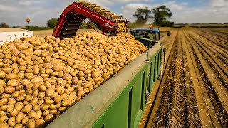 The Most shocking Harvesting Process You'll Ever See