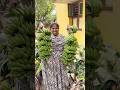 அம்மா வீட்ல வெள்ளம் வந்து எல்லாம் பொருளும் வீனா போச்சு😌 | Sangeetha Vinoth |#shorts