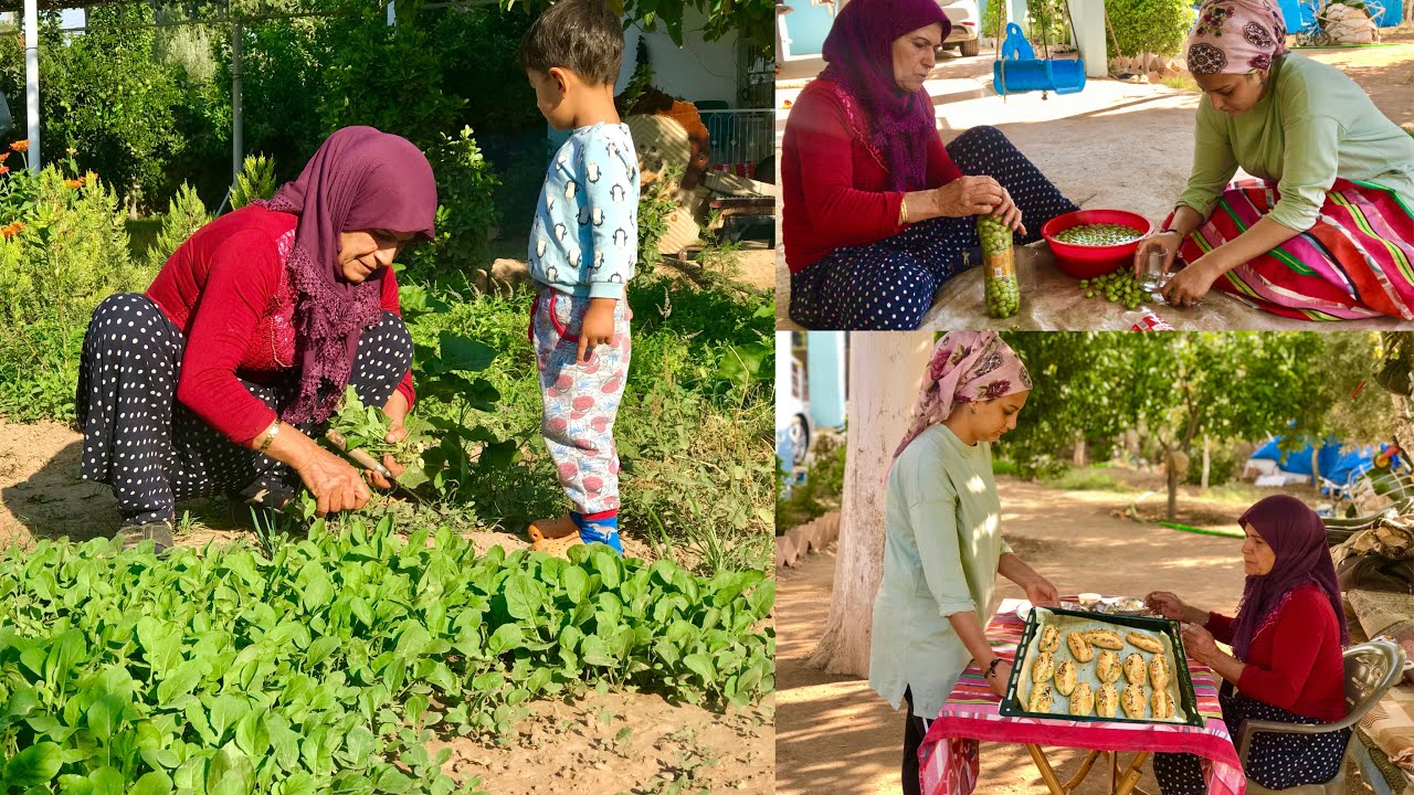 EN KOLAY LEZZETLİ POĞAÇA KAHVALTI TARİFİ ???? HUZUR DOLU KÖY DOĞAL YAŞAM RUHUNUZ DİNLENECEK EN KOLAY LEZZETLİ POĞAÇA KAHVALTI TARİFİ ???? HUZUR DOLU KÖY DOĞAL YAŞAM RUHUNUZ DİNLENECEK