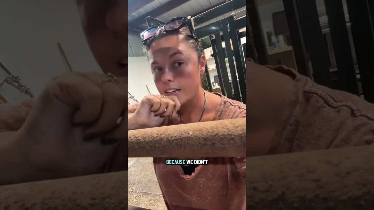 Новости о наших двух телятах, которых атаковали мухи! 