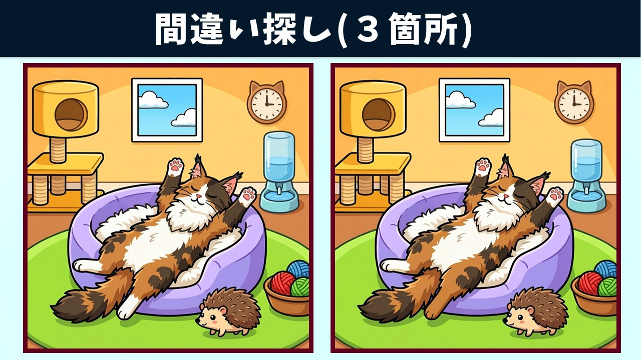 Найдите 3 отличия | Иллюстрация Версия #2171