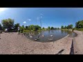 [3D][360][2k] Man feeding birds at the Park. [Demo]