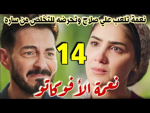 مسلسل نعمة الأفوكاتو الحلقة 14 كاملة نعمة تلعب بصلاح وتحرضه للتخلص من ساره عشان تسامحه