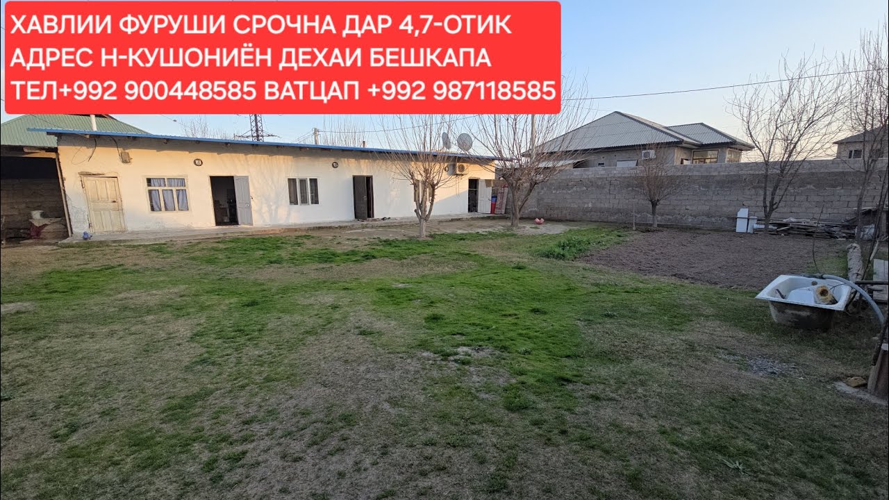 Н-КУШОНИЁН ХАВЛИИ ФУРУШИ ЧИСЛОИ 26,02,2026 СОЛ.